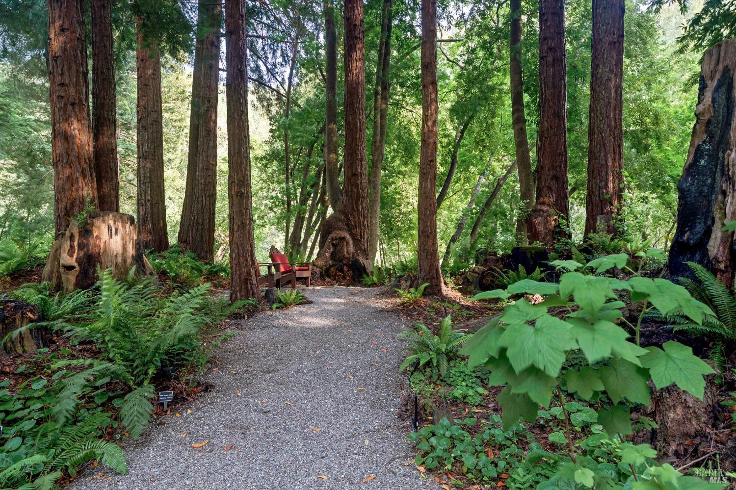 Detail Gallery Image 47 of 51 For 14086 Sosna Way, Guerneville,  CA 95446 - 3 Beds | 3 Baths