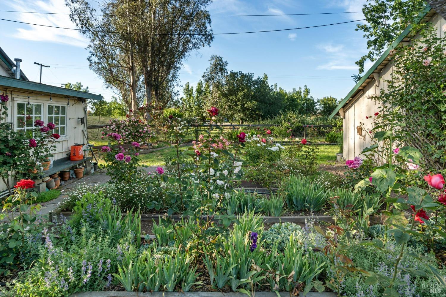 Detail Gallery Image 38 of 87 For 4344 Langner Ave, Santa Rosa,  CA 95407 - 7 Beds | 3/1 Baths