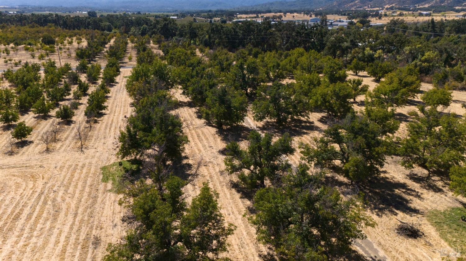 Detail Gallery Image 15 of 24 For 1010 Argonaut Rd, Kelseyville,  CA 95453 - 3 Beds | 1 Baths