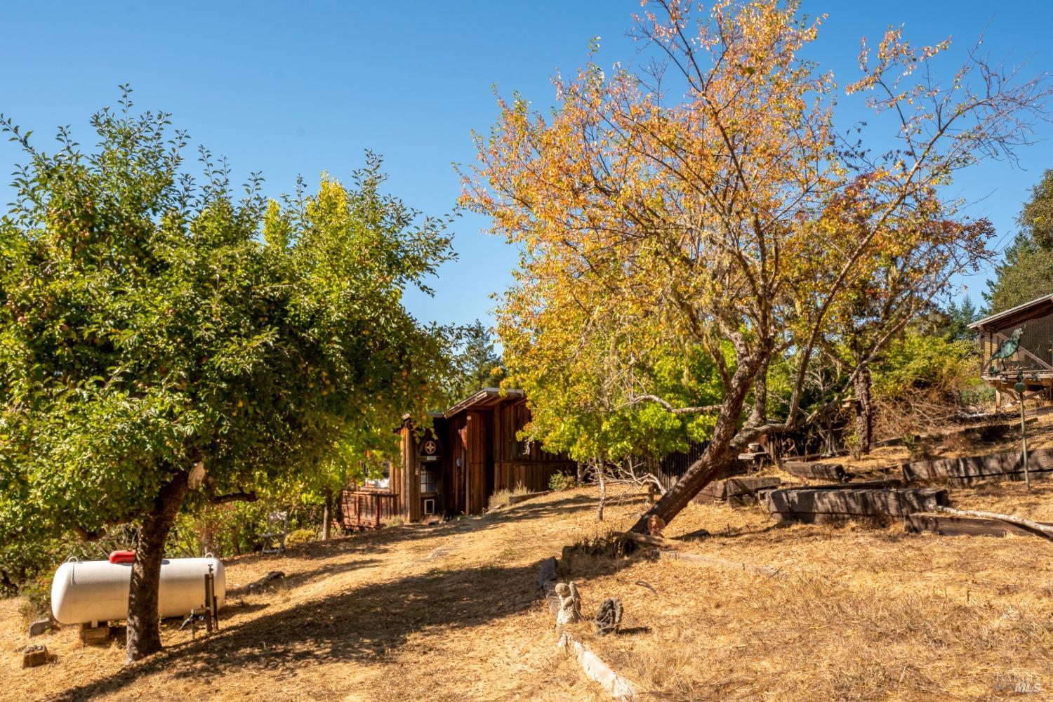 Detail Gallery Image 14 of 19 For 8900 Surprise Valley Rd, Comptche,  CA 95427 - 2 Beds | 1 Baths