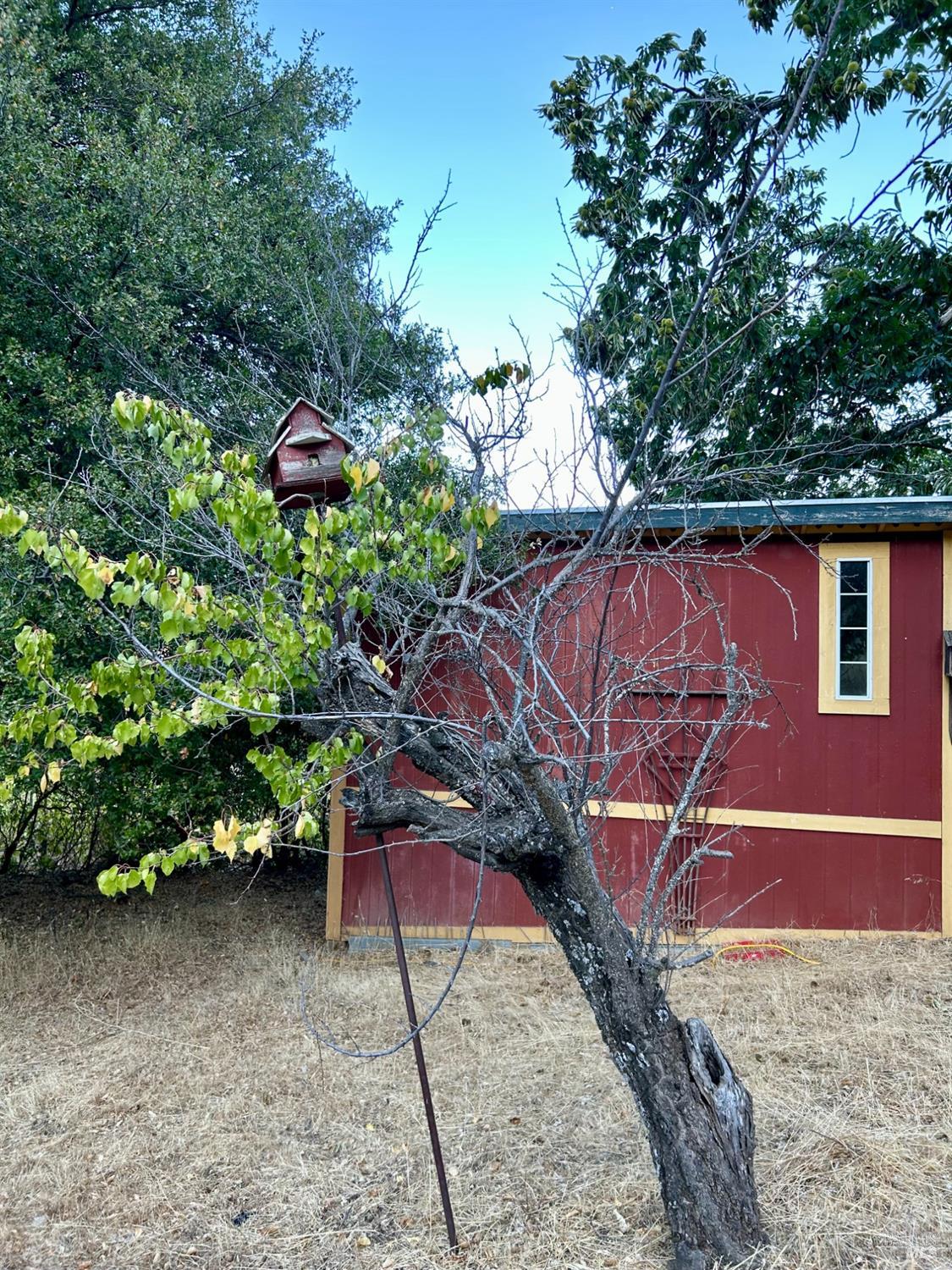 Detail Gallery Image 35 of 42 For 8987 Soda Bay Rd, Kelseyville,  CA 95451 - 2 Beds | 2 Baths