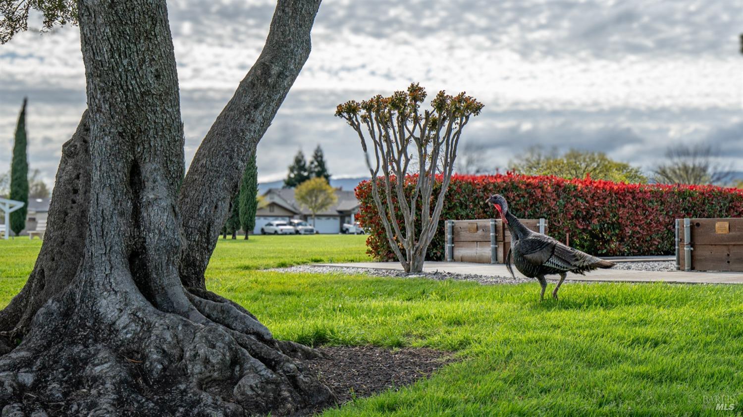 Detail Gallery Image 40 of 49 For 118 Mckinley Cir, Vacaville,  CA 95687 - 2 Beds | 2 Baths