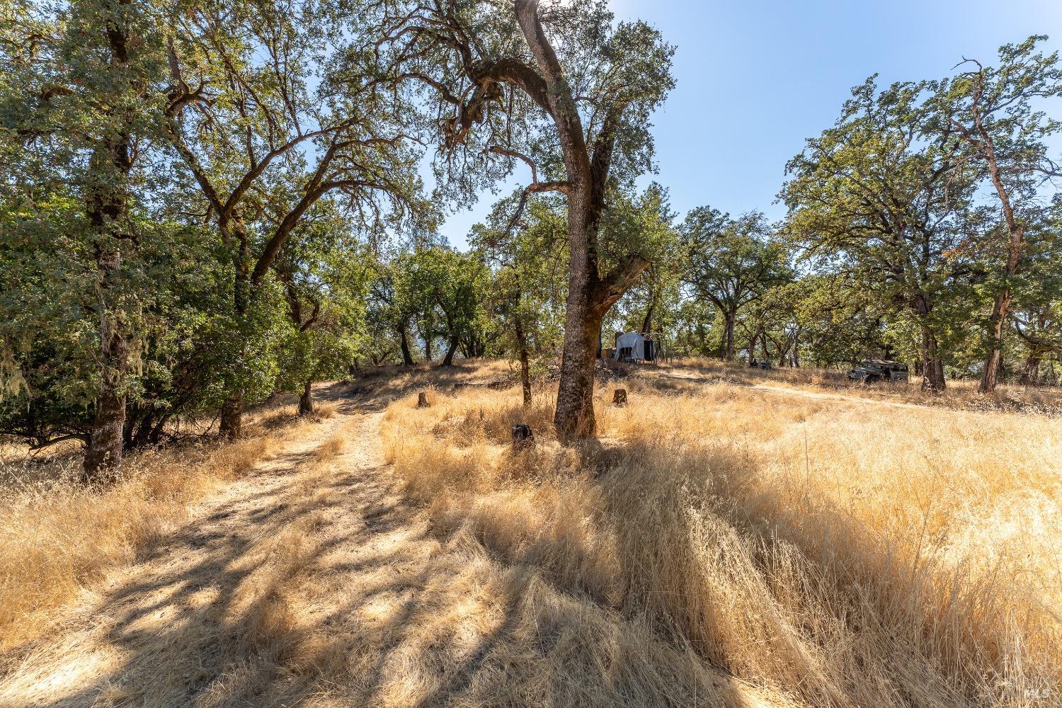 Detail Gallery Image 36 of 52 For Address Is Not Disclosed, Potter Valley,  CA 95469 - 2 Beds | 1 Baths