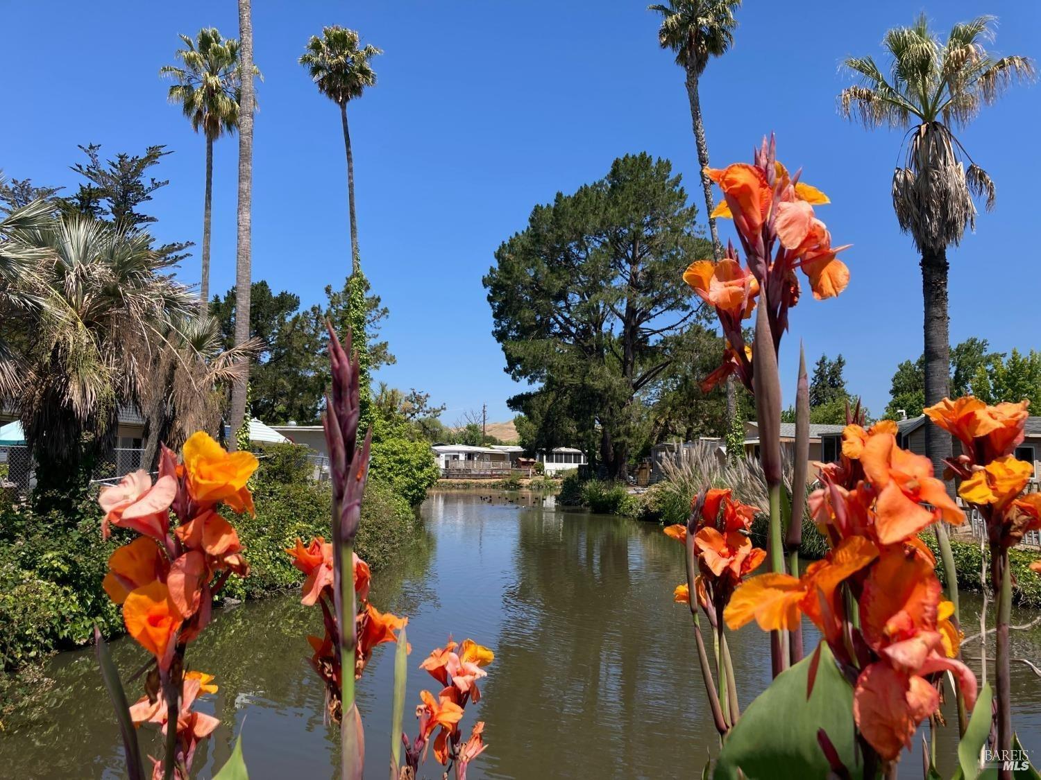 Detail Gallery Image 28 of 30 For 300 Stony Point Rd 405, Petaluma,  CA 94952 - 2 Beds | 2 Baths