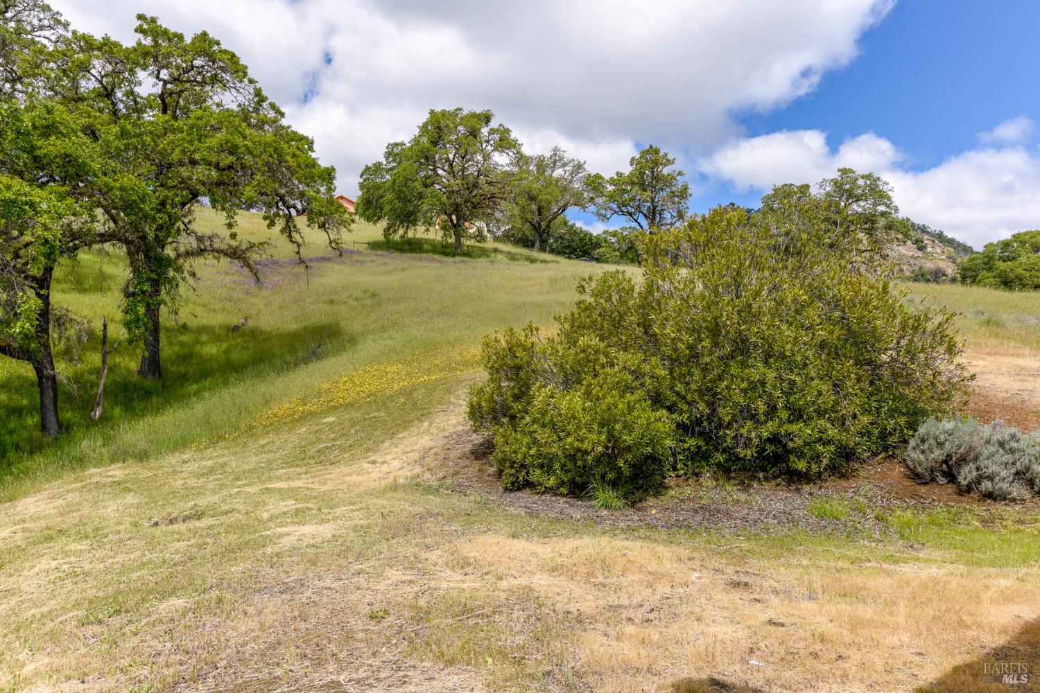 Detail Gallery Image 6 of 44 For 4610 Feliz Creek Rd, Hopland,  CA 95449 - 1 Beds | 1/1 Baths