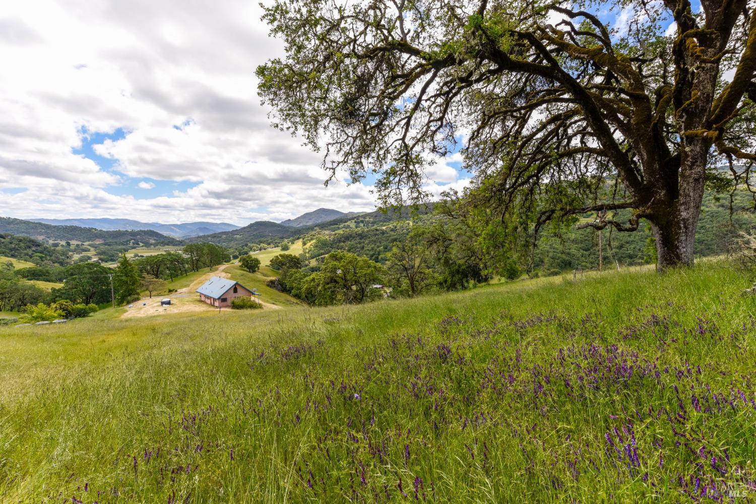 Detail Gallery Image 7 of 44 For 4610 Feliz Creek Rd, Hopland,  CA 95449 - 1 Beds | 1/1 Baths