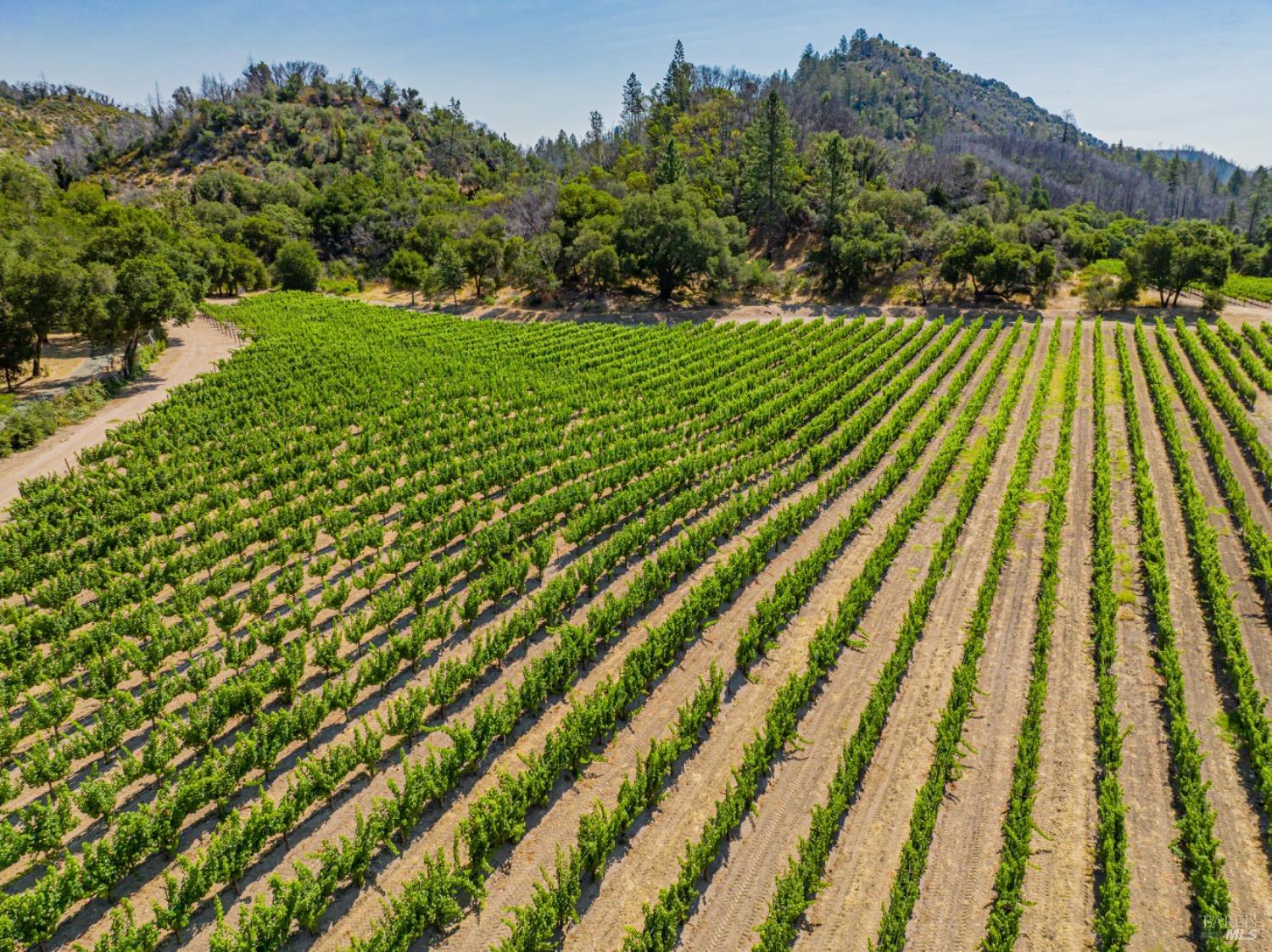 Detail Gallery Image 72 of 76 For 8320 Franz Valley Rd, Calistoga,  CA 94515 - 8 Beds | 8/2 Baths