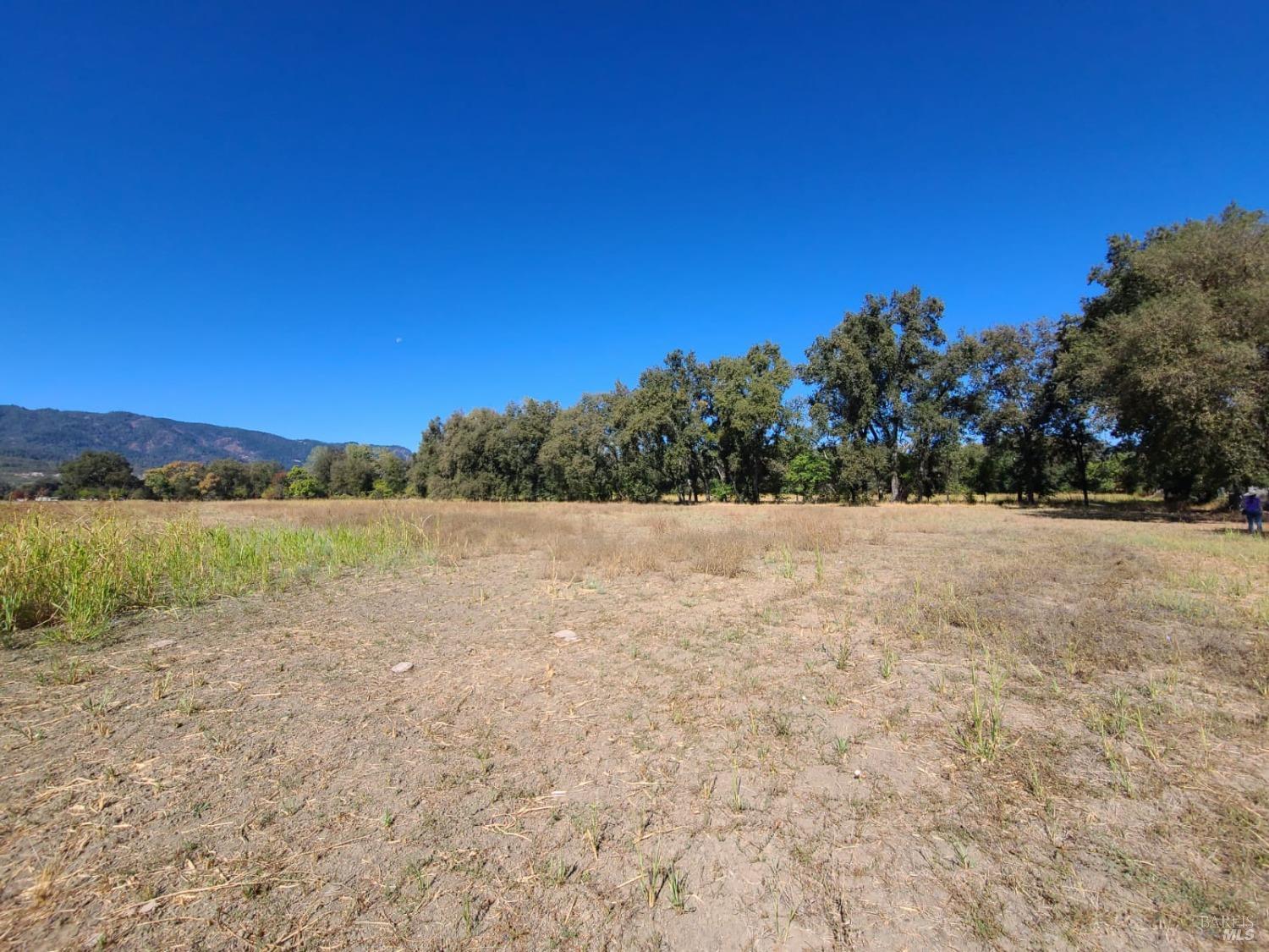 Detail Gallery Image 16 of 43 For 75589 Covelo Rd, Covelo,  CA 95428 - 2 Beds | 1 Baths