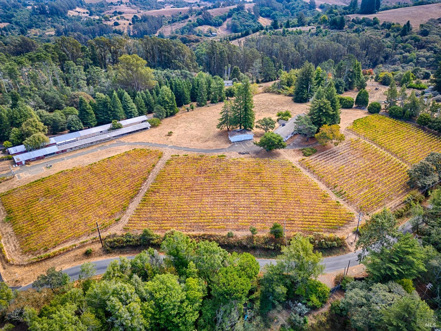 Endless Potential in Sebastopol - A Visionary's Dream  Just 10 minutes from the vibrant shops & restaurants of downtown Sebastopol, this nearly 8 acres of usable property offers a rare chance to customize your dream estate in wine country. With about 3.5 acres of Pinot Noir, the landscape is as rich with potential as the home itself. Stunning western views stretch across a peaceful, private setting. The property is 1.5 hours from San Francisco & 20 minutes from Santa Rosa's airport. Private easements lead to a fully fenced estate, gently sloping toward a hilltop home ready for finishing touches. This location enjoys a perfect microclimate, sheltered from heat & winds. The current layout includes two primary suites, one with private study. The homewith its foundation, roof, exterior walls, windows & doors offers a blank canvas for the next owner to expand or reimagine. Whether a timeless villa or a sleek modern design, this home is ready to be completed. Vital infrastructure includes 5,200 gallons of water storage, an updated septic system & underground electrical service. The property also features an ag building with storage & a concrete-covered area, adding more possibilities. This is your chance to create a masterpiece. The groundwork is done, it's time to make it yours!