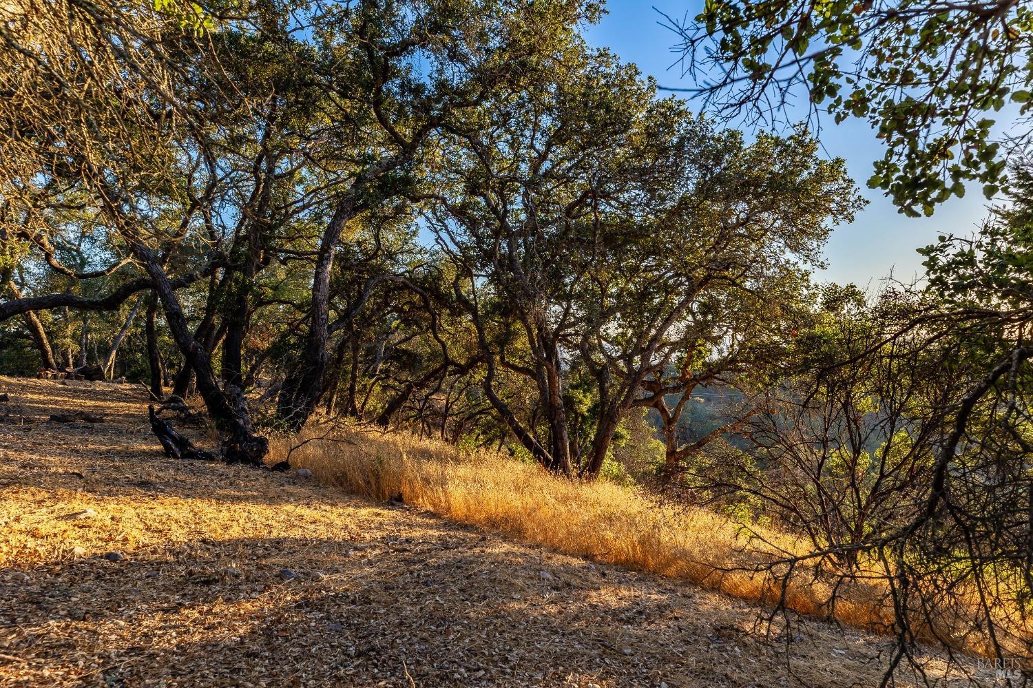 Detail Gallery Image 75 of 86 For 8373 Singing Hills Trl, Santa Rosa,  CA 95404 - 3 Beds | 3/1 Baths