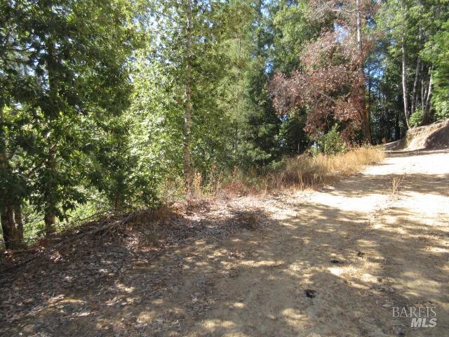 Detail Gallery Image 7 of 23 For 27951 King Ridge Rd, Cazadero,  CA 95421 - – Beds | – Baths