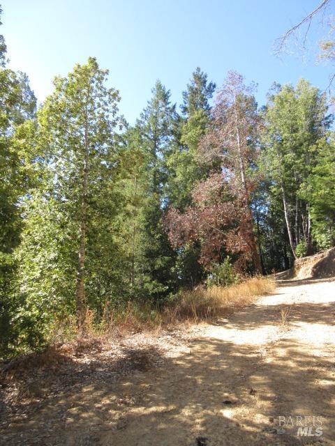 Detail Gallery Image 8 of 23 For 27951 King Ridge Rd, Cazadero,  CA 95421 - – Beds | – Baths