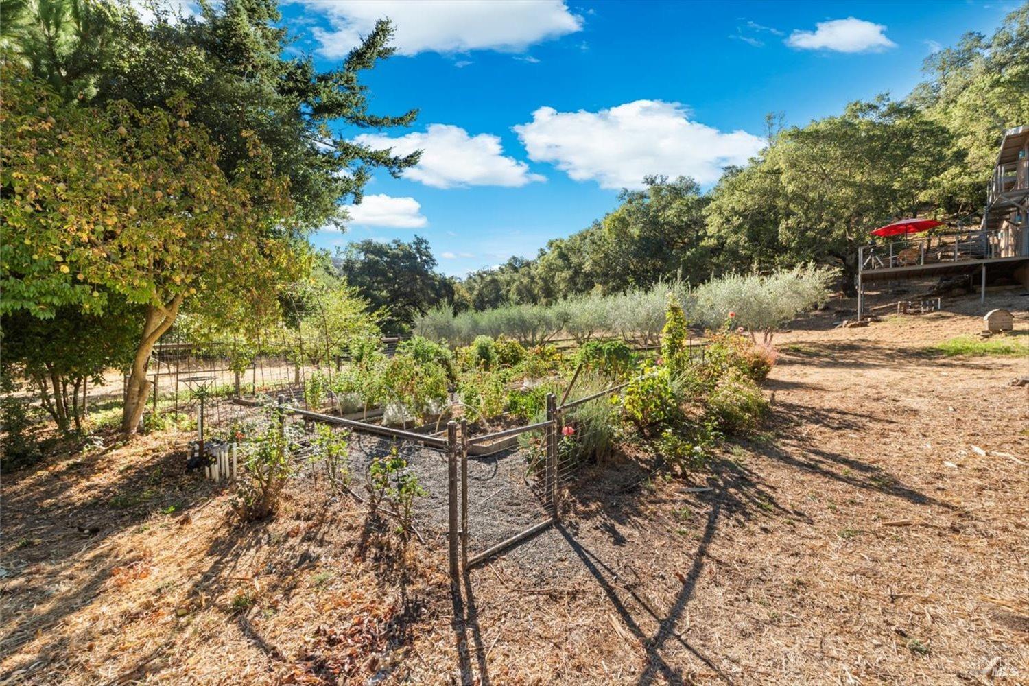 Detail Gallery Image 59 of 71 For 2900 Monticello Rd, Napa,  CA 94558 - 3 Beds | 3 Baths