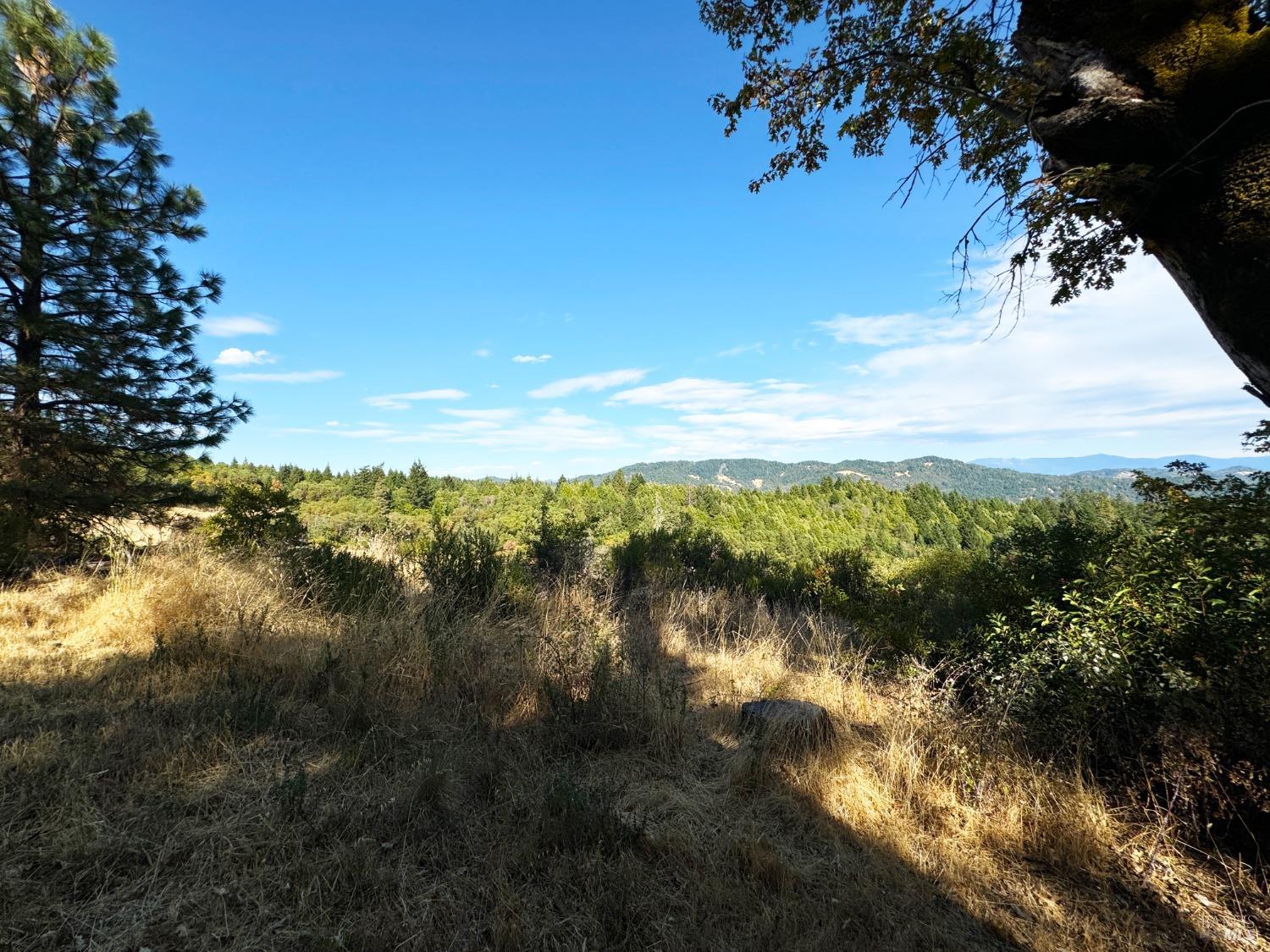 Detail Gallery Image 20 of 52 For 7200 Third Gate Rd, Willits,  CA 95490 - 2 Beds | 1 Baths