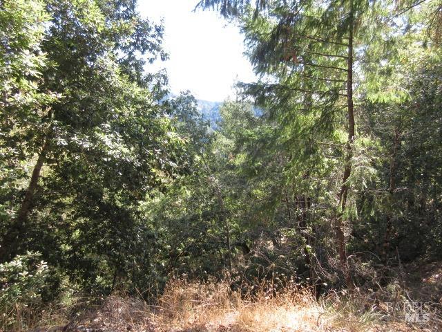 Detail Gallery Image 22 of 23 For 27951 King Ridge Rd, Cazadero,  CA 95421 - – Beds | – Baths