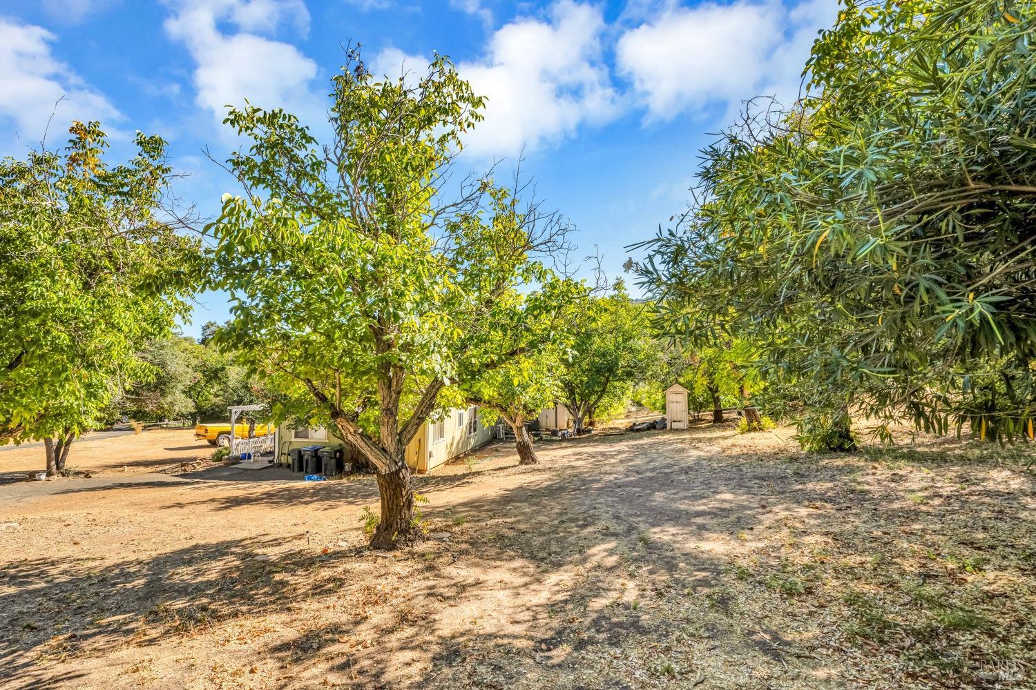 Detail Gallery Image 26 of 28 For 8958 Soda Bay Rd, Kelseyville,  CA 95451 - 5 Beds | 4 Baths