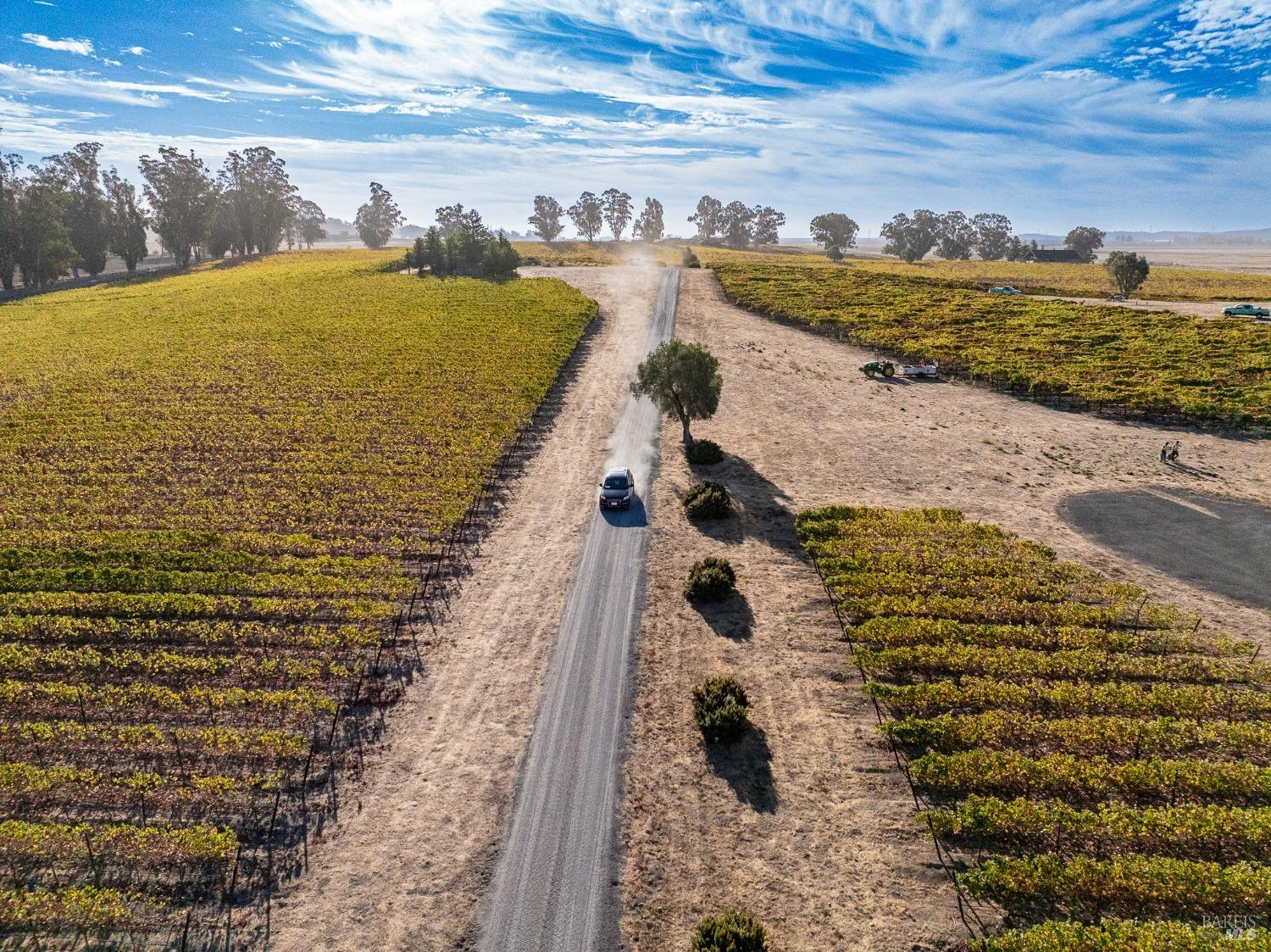 Detail Gallery Image 3 of 68 For 6614 Lakeville Hwy, Petaluma,  CA 94954 - 11 Beds | 15/1 Baths