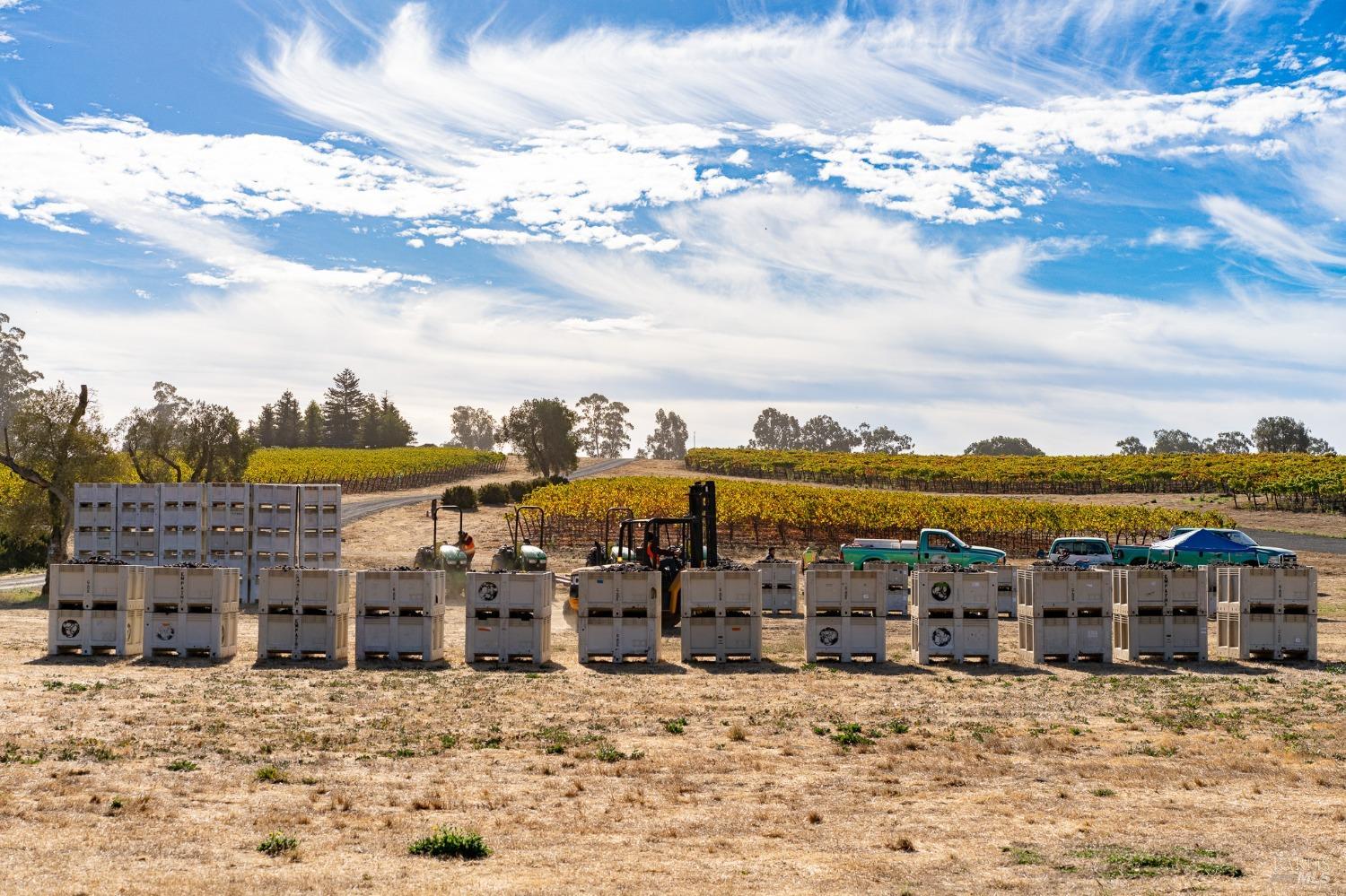 Detail Gallery Image 35 of 68 For 6614 Lakeville Hwy, Petaluma,  CA 94954 - 11 Beds | 15/1 Baths