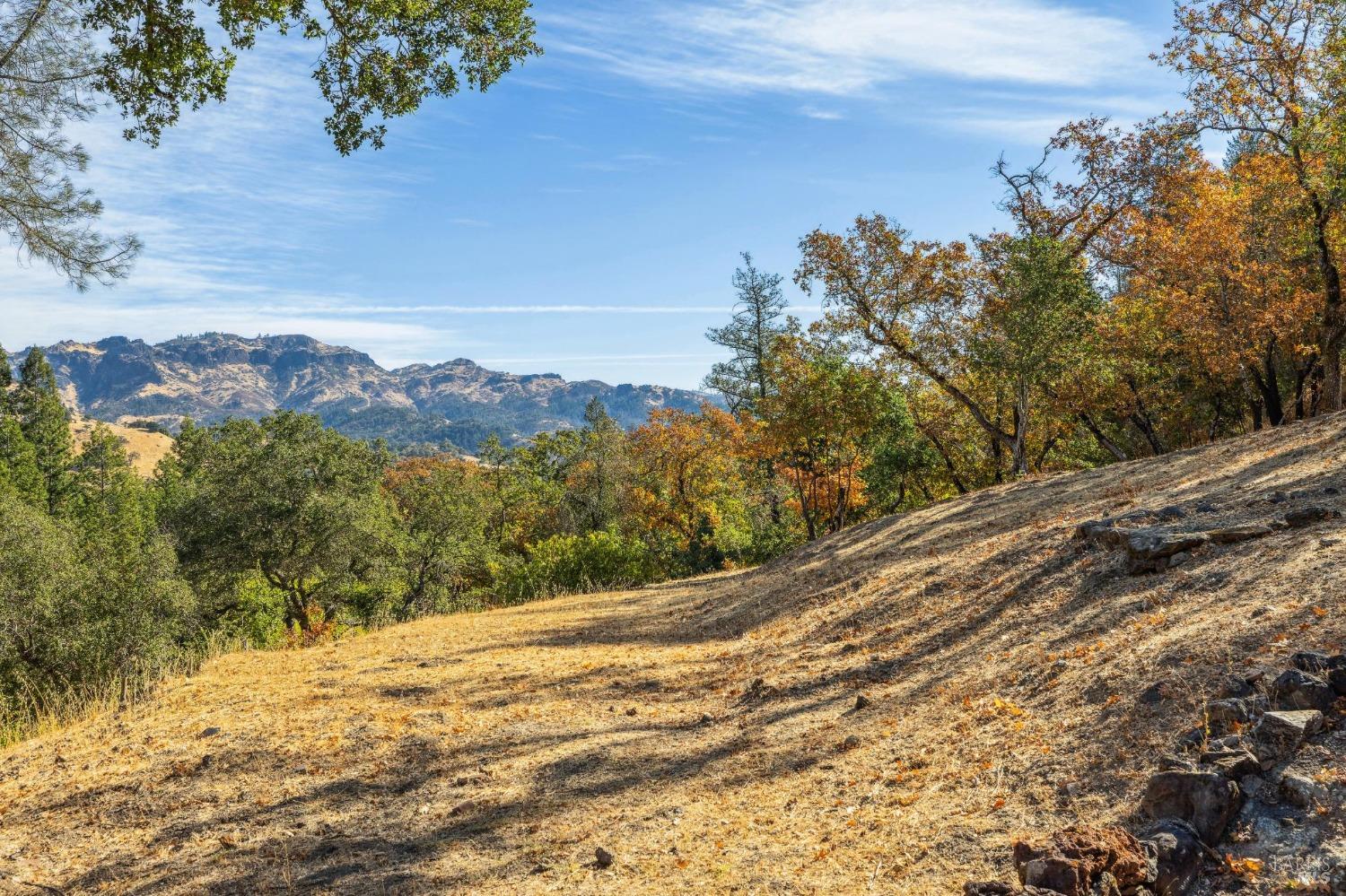 Detail Gallery Image 25 of 31 For 1218 Bennett Ln, Calistoga,  CA 94515 - 2 Beds | 2/1 Baths