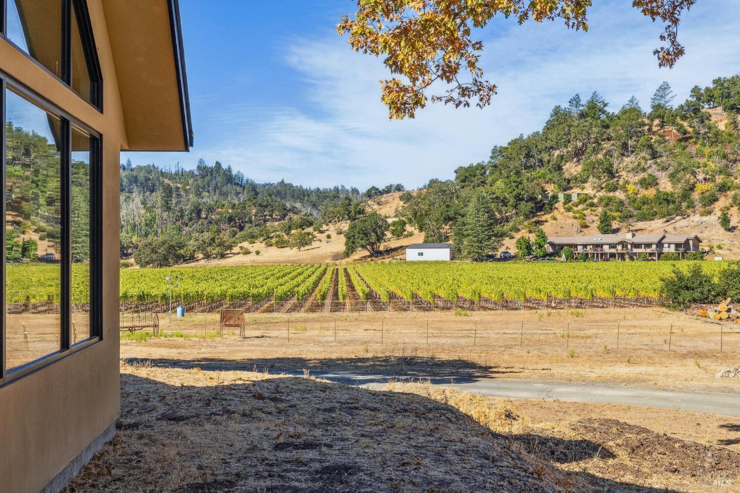 Detail Gallery Image 9 of 31 For 1218 Bennett Ln, Calistoga,  CA 94515 - 2 Beds | 2/1 Baths