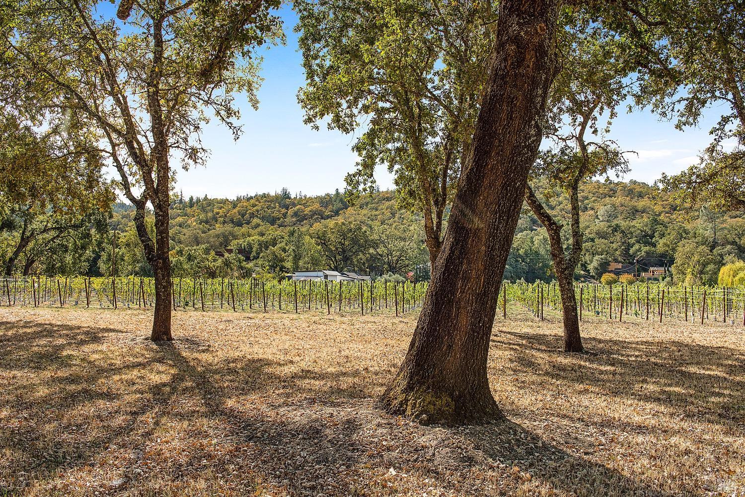 Detail Gallery Image 38 of 58 For 3002 Foothill Blvd, Calistoga,  CA 94515 - 3 Beds | 2 Baths