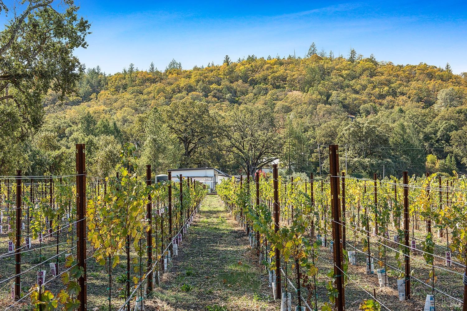 Detail Gallery Image 40 of 58 For 3002 Foothill Blvd, Calistoga,  CA 94515 - 3 Beds | 2 Baths