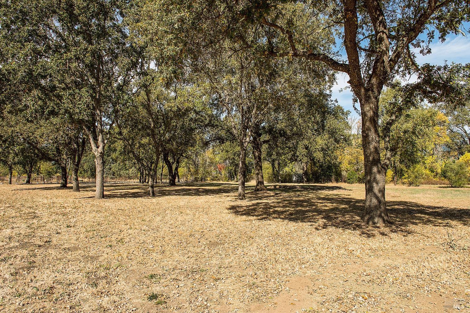 Detail Gallery Image 37 of 58 For 3002 Foothill Blvd, Calistoga,  CA 94515 - 3 Beds | 2 Baths