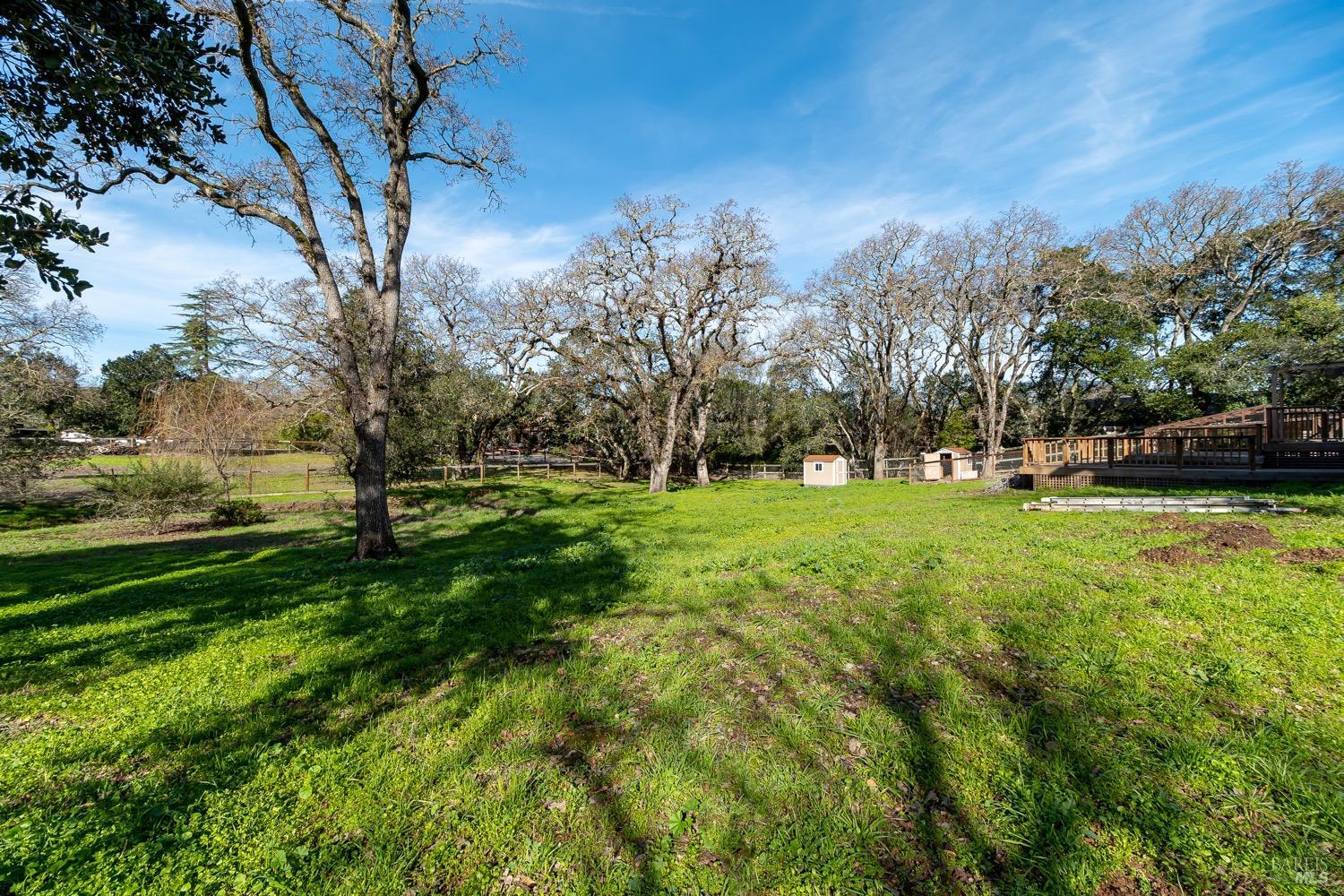 Detail Gallery Image 22 of 25 For 565 Wilson Ave, Novato,  CA 94947 - 5 Beds | 2/1 Baths