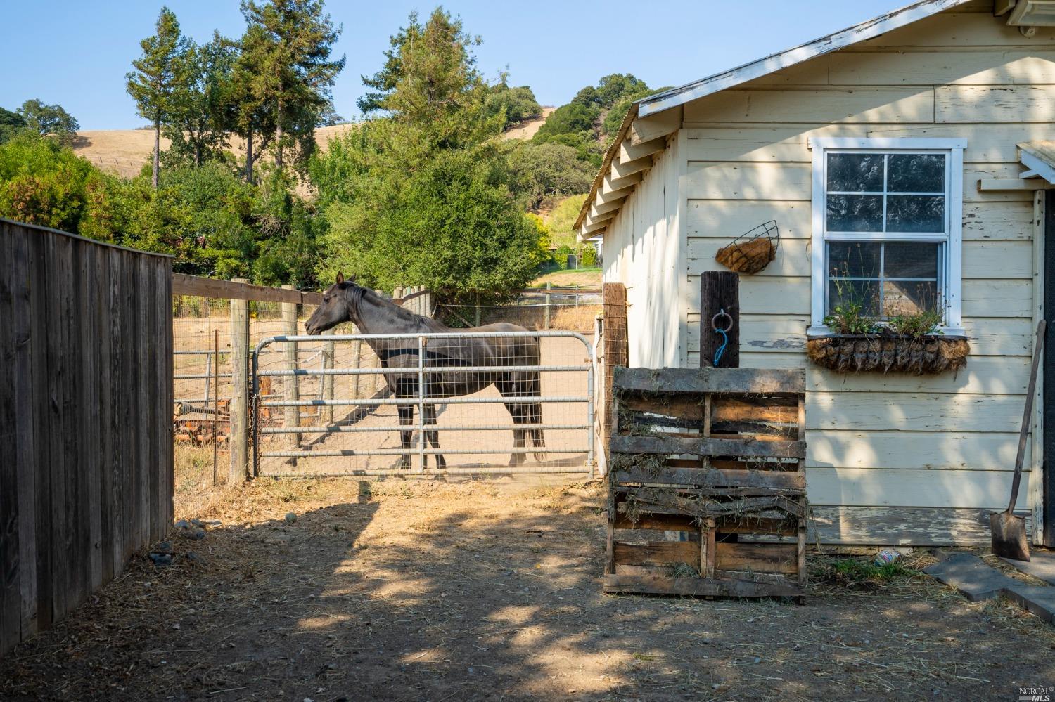 Detail Gallery Image 13 of 25 For 1846 Indian Valley Rd, Novato,  CA 94947 - 1 Beds | 1 Baths