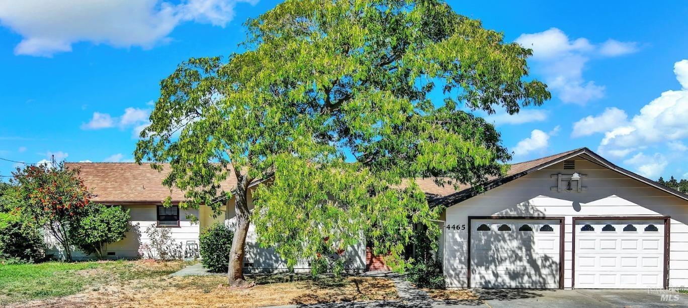 Detail Gallery Image 1 of 63 For 4465 Olive Ave, Fairfield,  CA 94533 - 3 Beds | 3 Baths