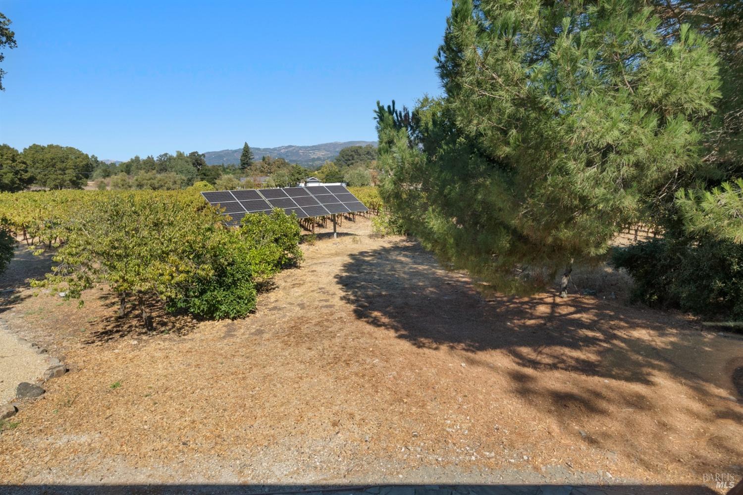 Detail Gallery Image 59 of 93 For 1230 Fowler Creek Rd, Sonoma,  CA 95476 - 5 Beds | 6/2 Baths