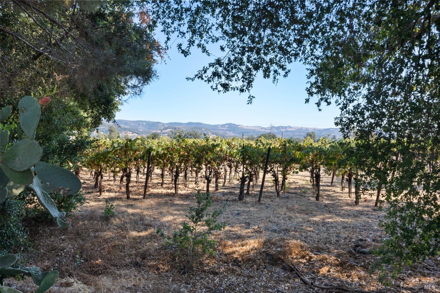 Detail Gallery Image 87 of 93 For 1230 Fowler Creek Rd, Sonoma,  CA 95476 - 5 Beds | 6/2 Baths