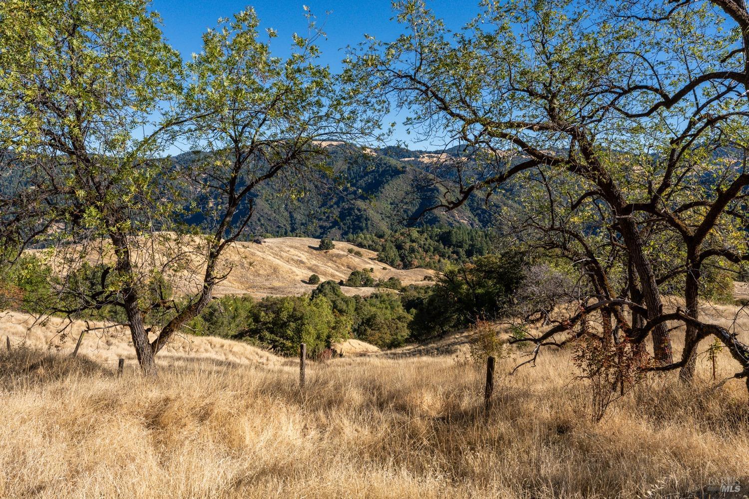 Detail Gallery Image 10 of 28 For 56120 101 Hwy, Laytonville,  CA 95454 - 1 Beds | 1 Baths