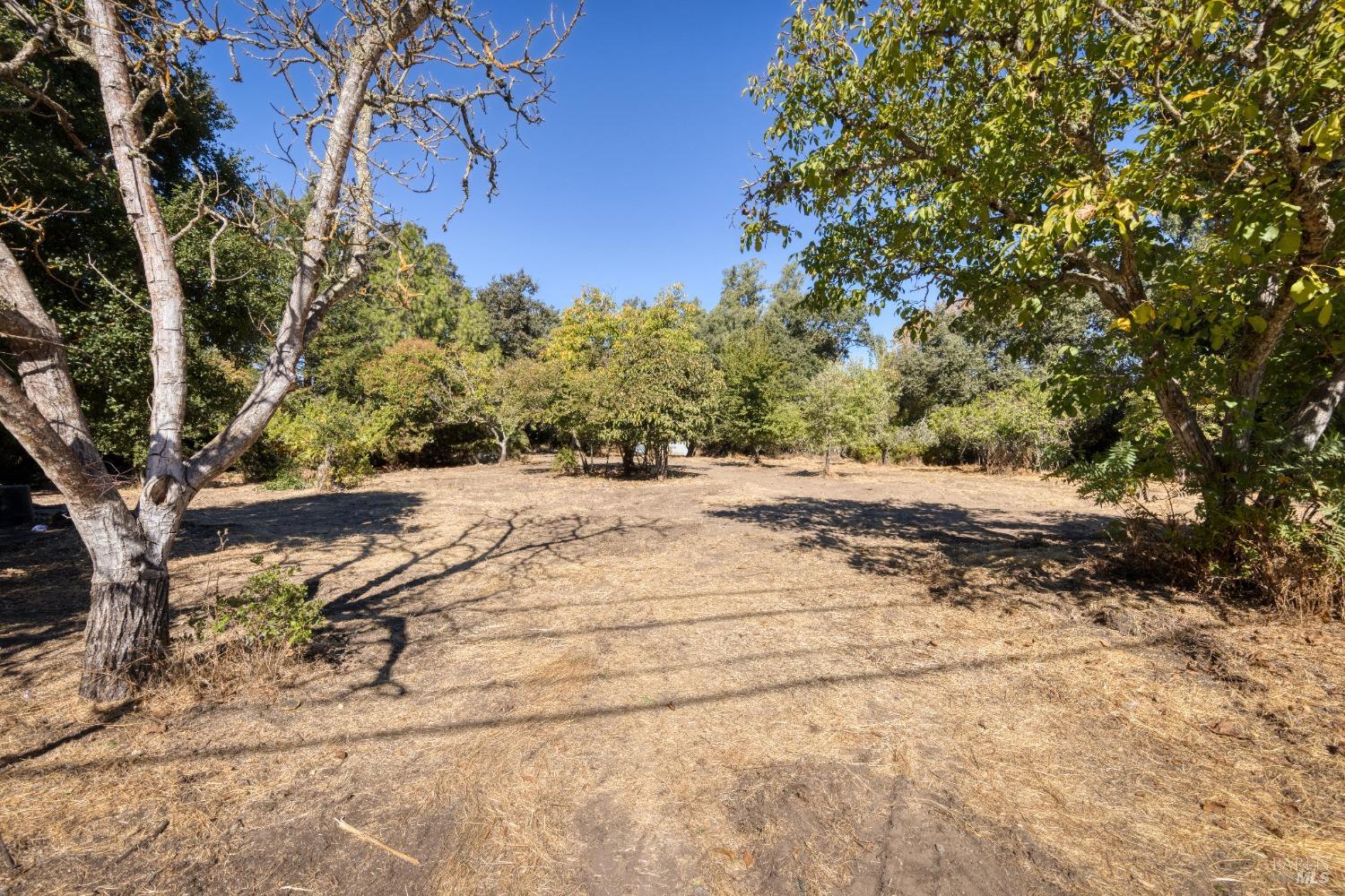 Detail Gallery Image 7 of 37 For 401 Petaluma Ave, Sonoma,  CA 95476 - 2 Beds | 1 Baths