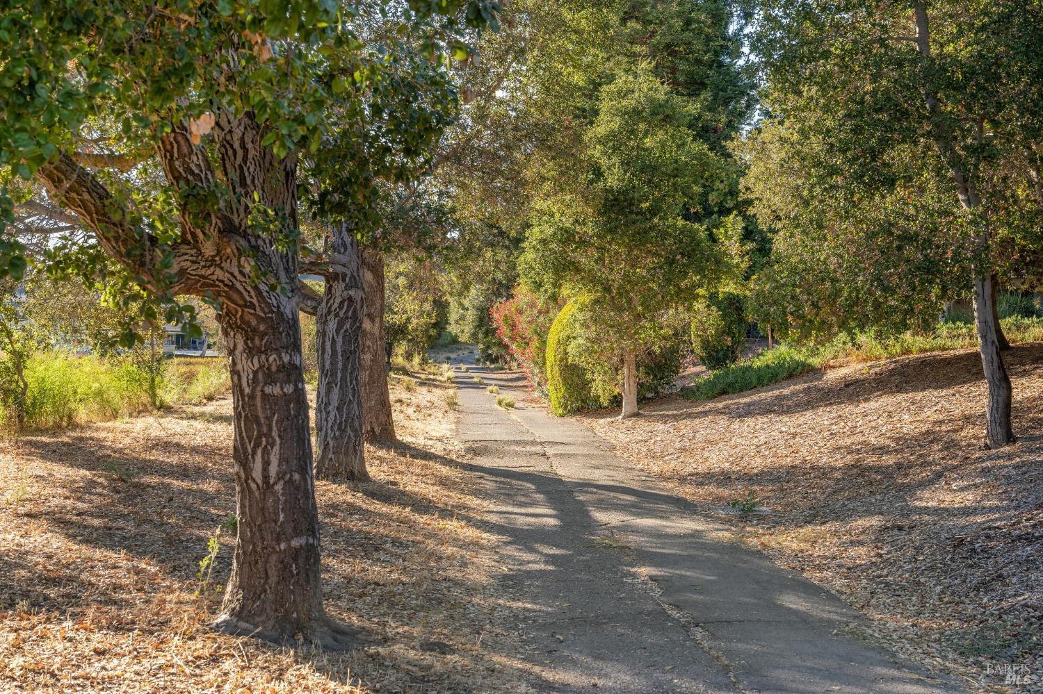 Detail Gallery Image 25 of 26 For 45 Wharf Cir, San Rafael,  CA 94903 - 2 Beds | 1 Baths