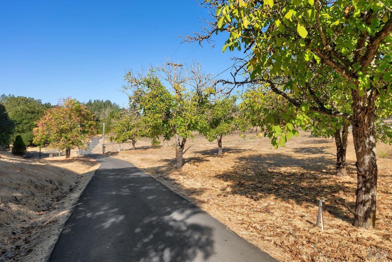 Detail Gallery Image 38 of 43 For 5326 Petrified Forest Rd, Calistoga,  CA 94515 - 4 Beds | 2/1 Baths