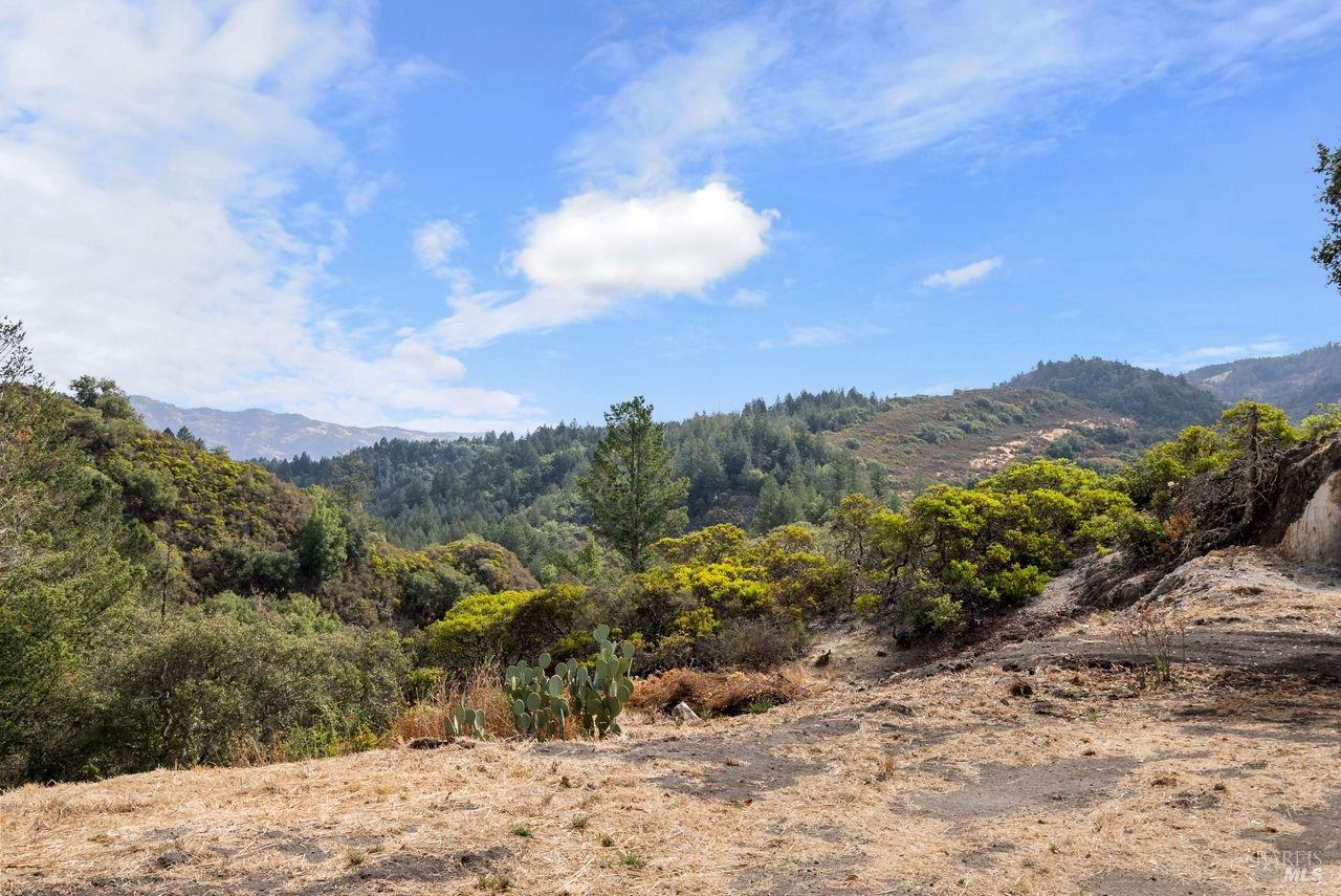 Detail Gallery Image 39 of 43 For 5326 Petrified Forest Rd, Calistoga,  CA 94515 - 4 Beds | 2/1 Baths