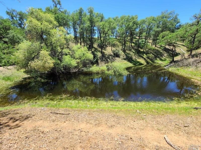 Detail Gallery Image 3 of 19 For 23100 Poonkinney Rd, Covelo,  CA 95428 - – Beds | – Baths