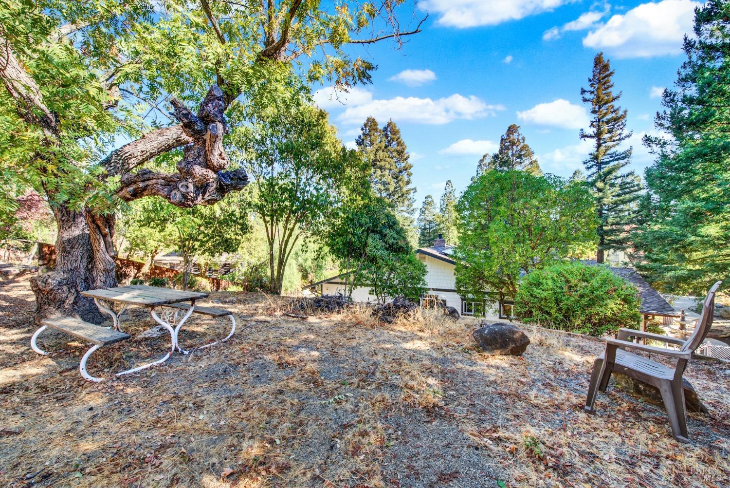 Detail Gallery Image 9 of 90 For 113 Hillsdale Ct, Vacaville,  CA 95688 - 4 Beds | 2/1 Baths