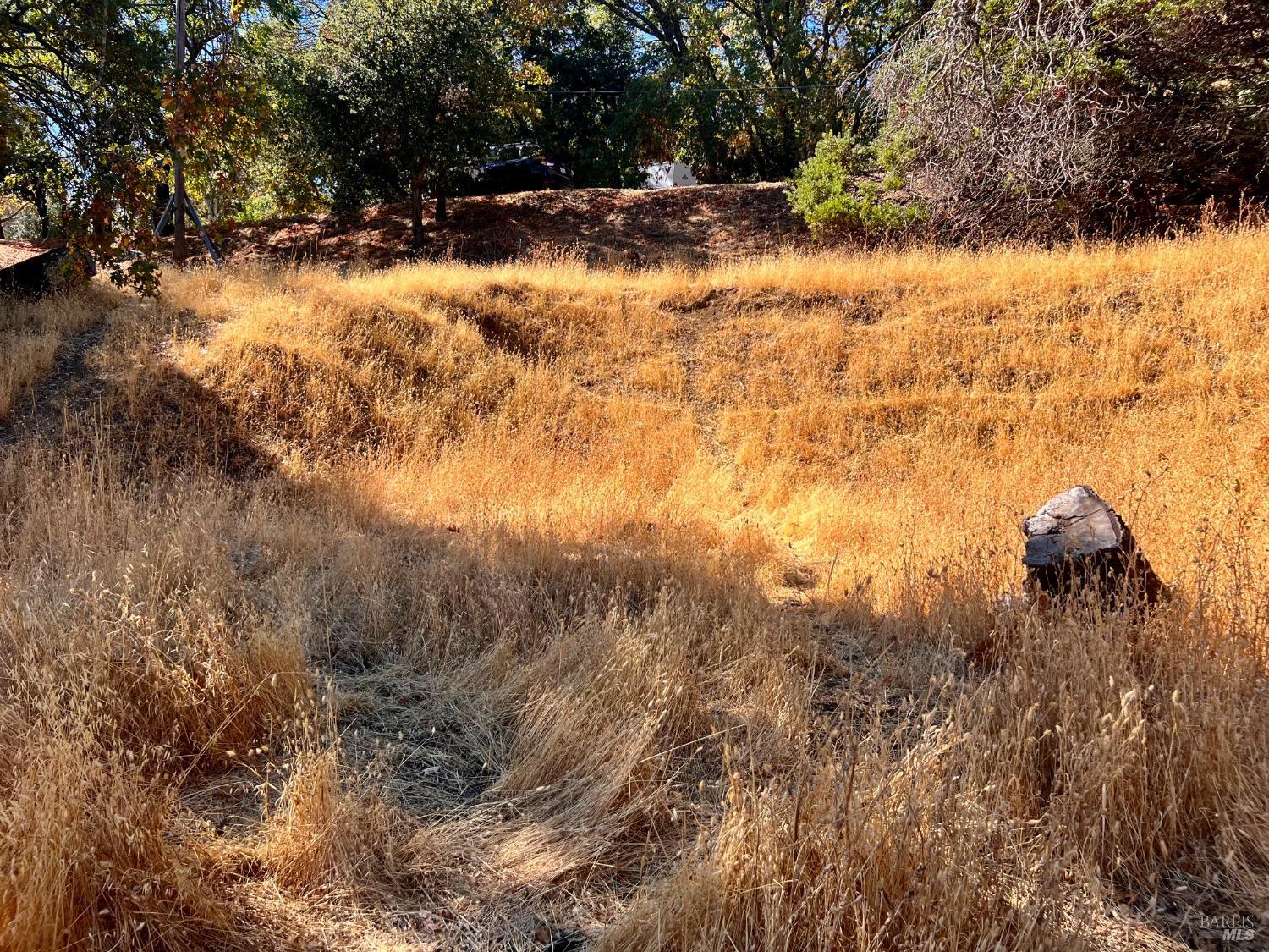 Detail Gallery Image 9 of 14 For 0 Juniper Dr, Napa,  CA 94558 - – Beds | – Baths