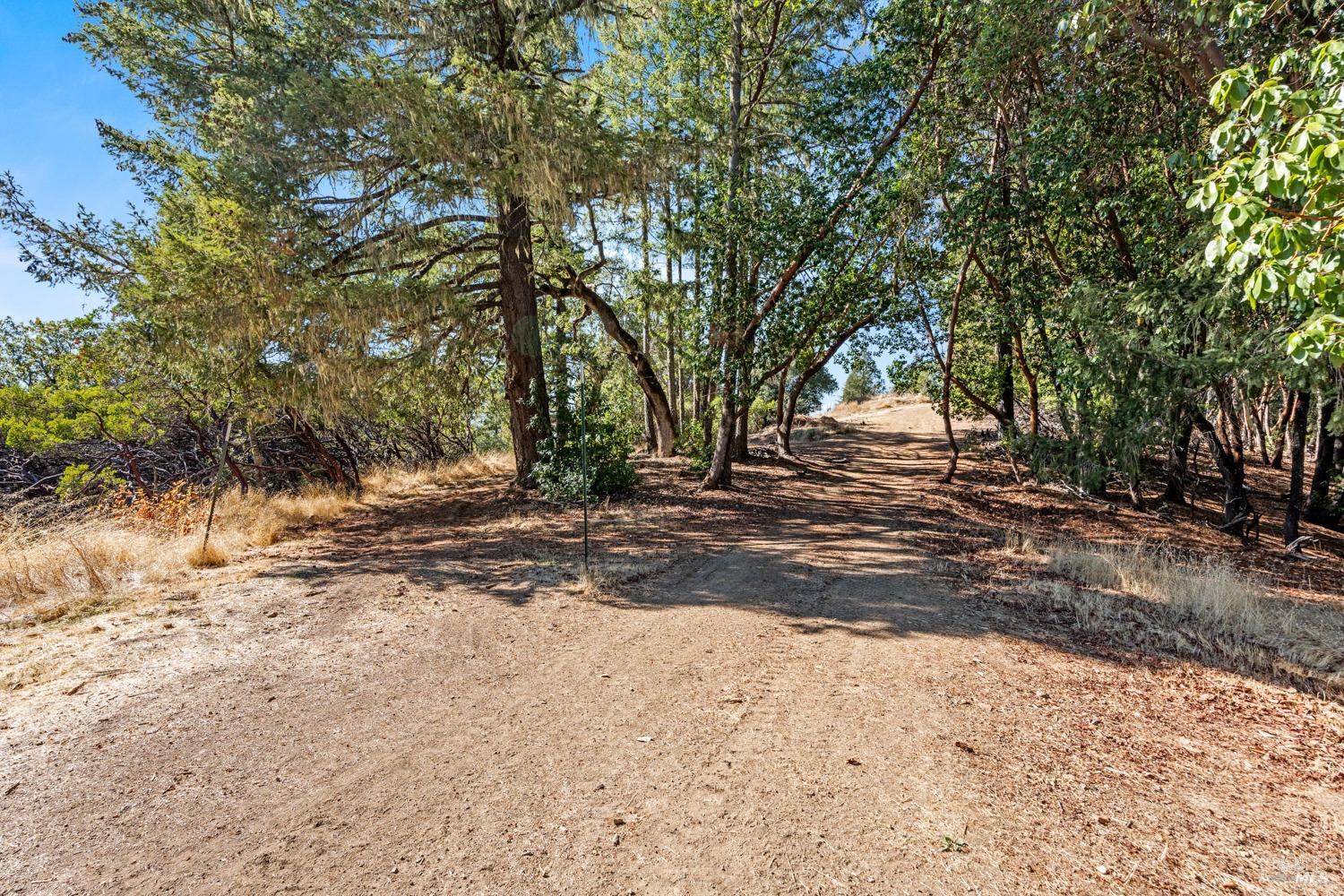 Detail Gallery Image 11 of 16 For 500 Woodman Creek Rd, Laytonville,  CA 95454 - 2 Beds | 1 Baths