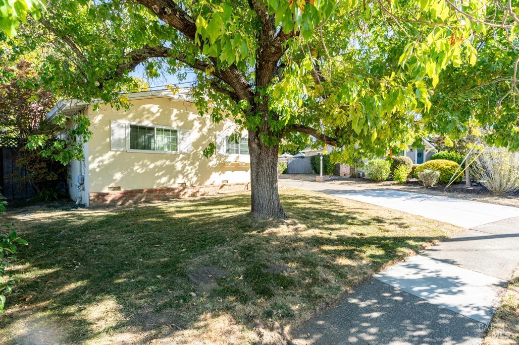 Detail Gallery Image 13 of 47 For 1563 Buchanan St, Novato,  CA 94947 - 4 Beds | 2 Baths