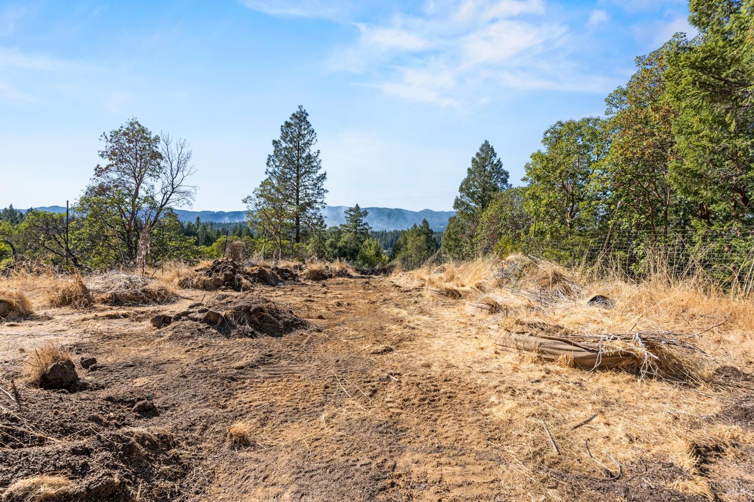 Detail Gallery Image 12 of 16 For 500 Woodman Creek Rd, Laytonville,  CA 95454 - 2 Beds | 1 Baths