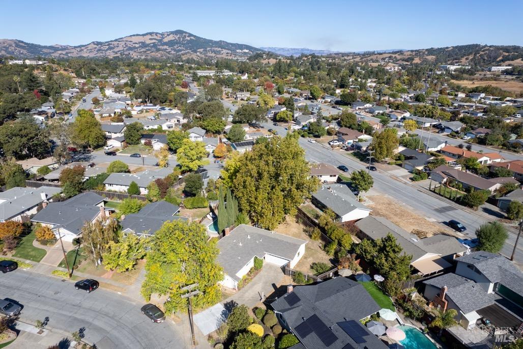 Detail Gallery Image 4 of 47 For 1563 Buchanan St, Novato,  CA 94947 - 4 Beds | 2 Baths