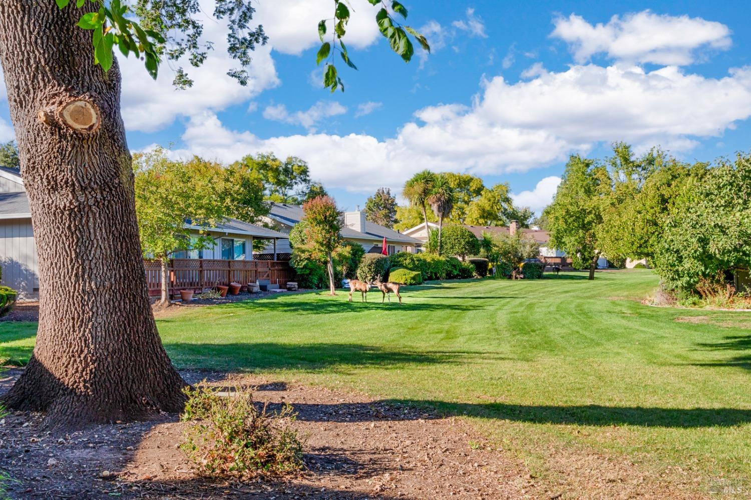 Detail Gallery Image 28 of 30 For 332 Twin Lakes Dr, Santa Rosa,  CA 95409 - 2 Beds | 2 Baths