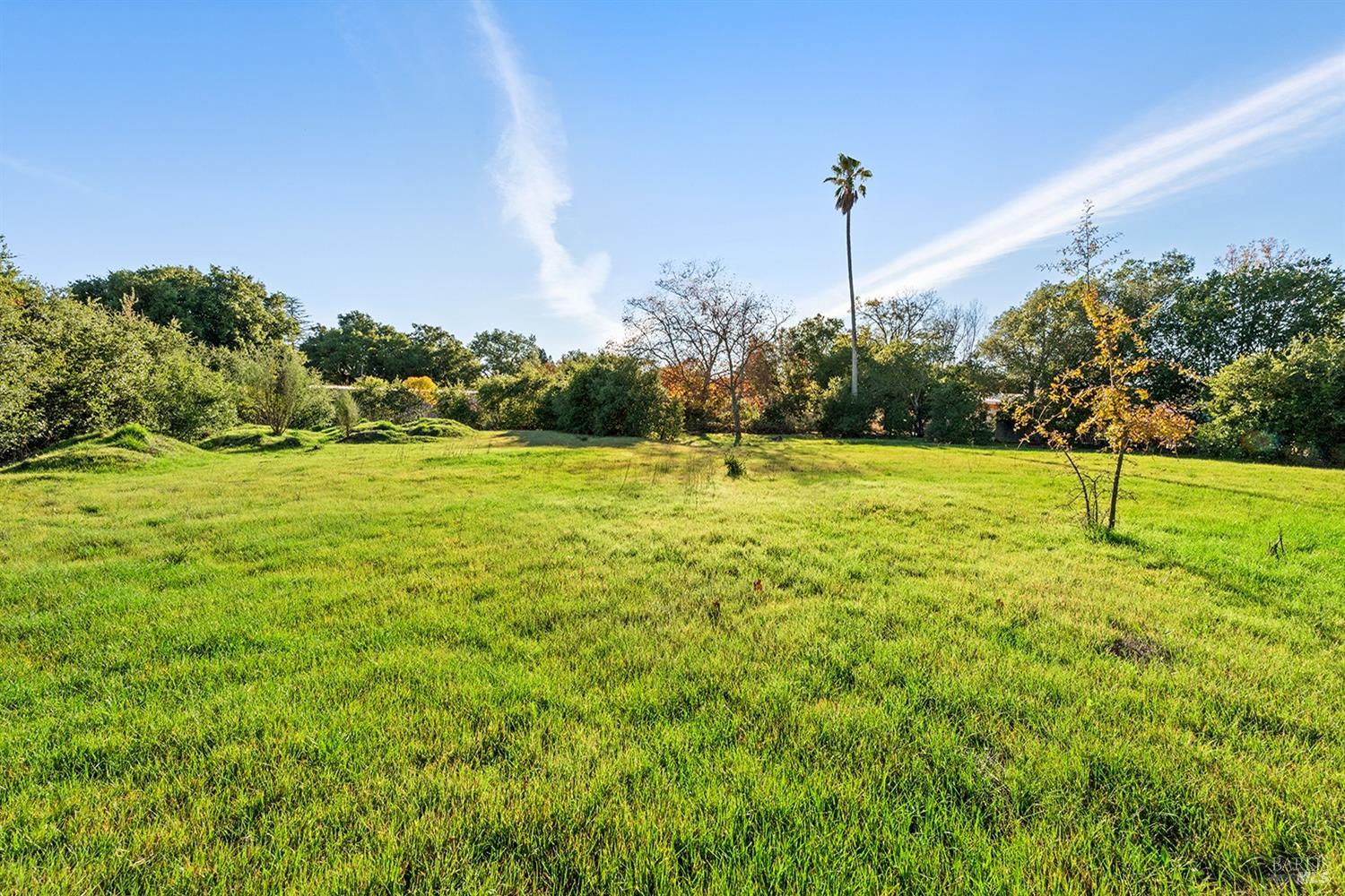 Detail Gallery Image 10 of 25 For 254 1st St, Sonoma,  CA 95476 - – Beds | – Baths