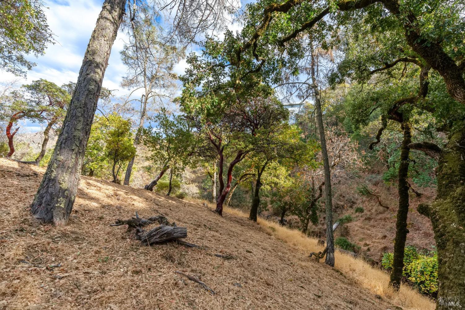 Detail Gallery Image 67 of 72 For 30 Beechwood Ct, Napa,  CA 94558 - 3 Beds | 3/1 Baths