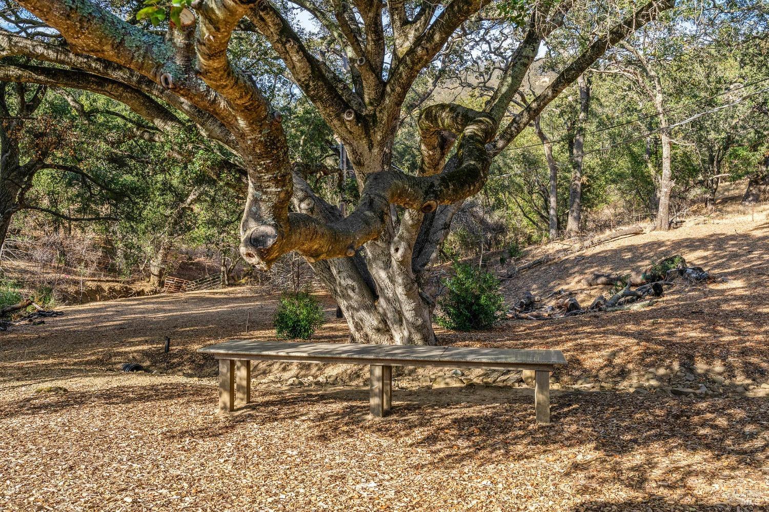 Detail Gallery Image 32 of 36 For 1300 Wooden Valley Rd, Napa,  CA 94558 - 4 Beds | 3/3 Baths