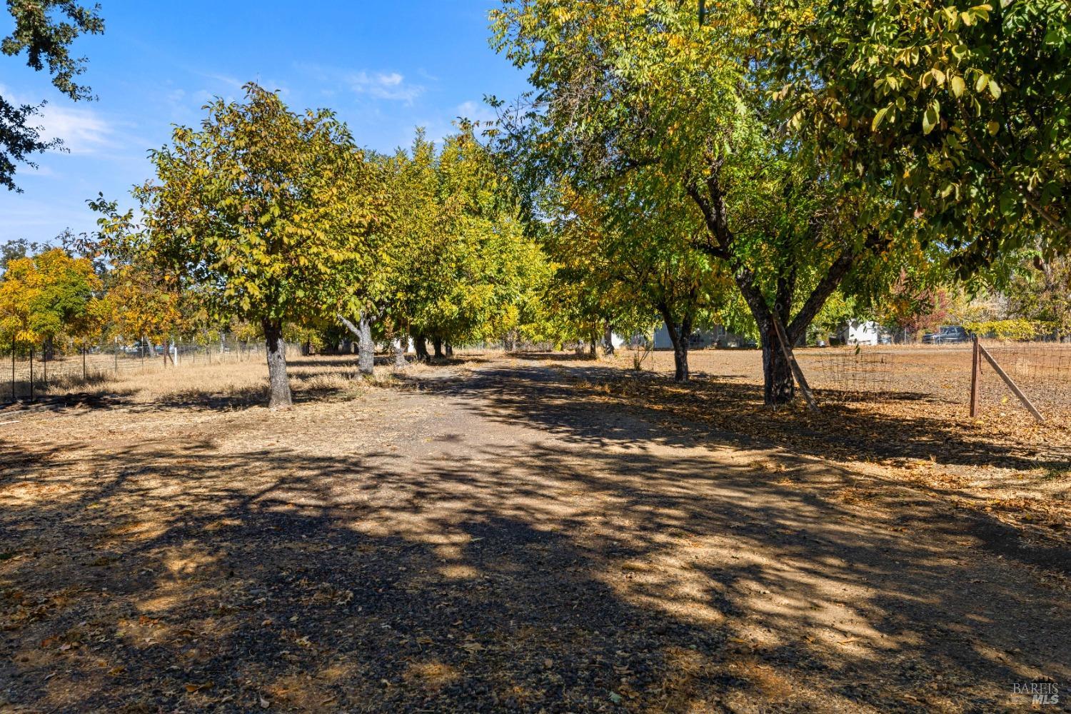 Detail Gallery Image 42 of 55 For 1425 E State Highway 20 Hwy, Upper Lake,  CA 95485 - 2 Beds | 2 Baths