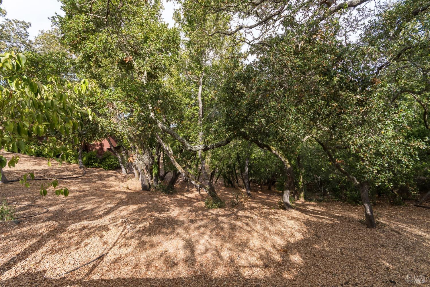 Detail Gallery Image 55 of 60 For 230 Crest Rd, Novato,  CA 94945 - 4 Beds | 3/1 Baths